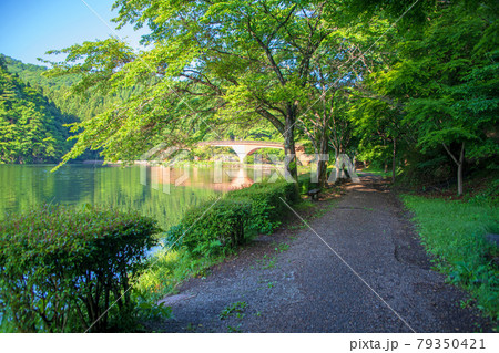 碓氷湖 坂本ダム 遊歩道より 初夏の周辺景色 碓氷湖 坂本ダム 遊歩道より 初夏の周辺景色 79350421
