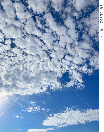 夏の青い空がとても綺麗でした。その真っ青な空に現れた羊雲です。の写真素材 [79350498] - PIXTA