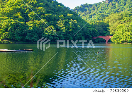 碓氷湖　坂本ダム　初夏の周辺景色　　　　　　 79350509