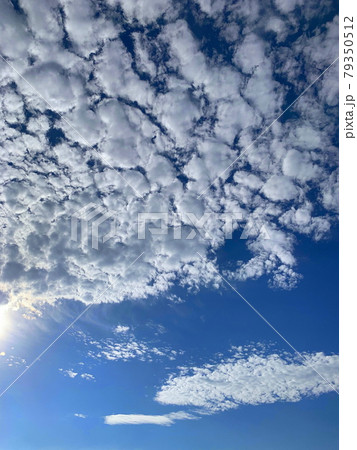 夏の青い空がとても綺麗でした。その真っ青な空に現れた羊雲です。 79350512