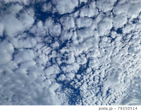 夏の青い空がとても綺麗でした。その真っ青な空に現れた羊雲です。の写真素材 [79350514] - PIXTA