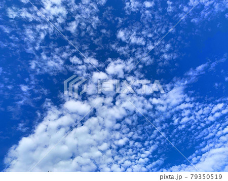 夏の青い空がとても綺麗でした。その真っ青な空に現れた羊雲です。の写真素材 [79350519] - PIXTA