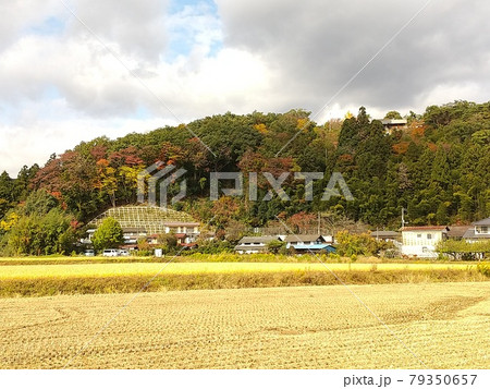福島県福島市大笹生　紅葉　秋 79350657