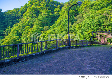 碓氷湖 坂本ダム ダム上遊歩道 初夏の周辺景色 碓氷湖 坂本ダム ダム上遊歩道 初夏の周辺景色 79350659