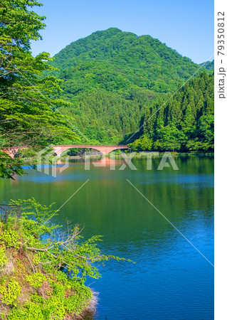 碓氷湖　坂本ダム　ダム上遊歩道から夢のせ橋方向　初夏の周辺景色　　　　　　 79350812