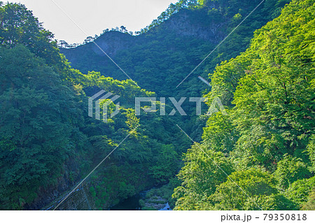 碓氷湖 坂本ダム ダム上からの眺め 初夏の周辺景色 碓氷湖 坂本ダム ダム上からの眺め 初夏の周辺景色 79350818