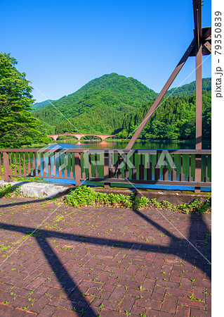 碓氷湖　坂本ダム　ダム上遊歩道からの眺め　初夏の周辺景色　　　　　　 79350839