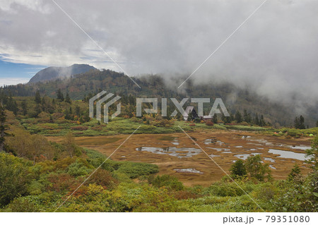 秋の火打山トレッキング 79351080