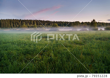 Field landscape background in fog Field landscape background in fog 79351228