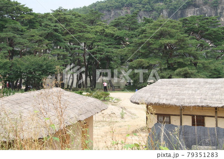 韓国釜山の風景 79351283