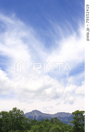 6月の信州、初夏の青空と新緑に包まれた八ヶ岳山麓の野辺山高原 6月の信州、初夏の青空と新緑に包まれた八ヶ岳山麓の野辺山高原 79352419