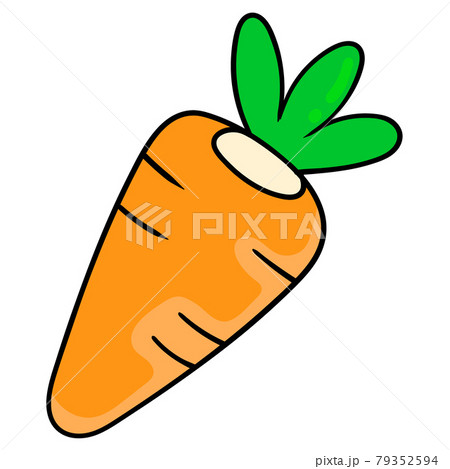 Fresh Carrot Vegetable Doodle Icon Drawingのイラスト素材