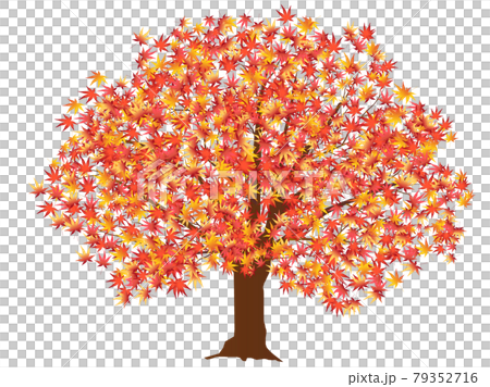紅葉 もみじ 木 アイコンのイラスト素材