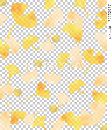 美麗的水彩銀杏背景圖 美麗的水彩銀杏背景圖 79352977
