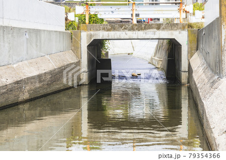 茨城県日立市　会瀬港近くの河口 79354366