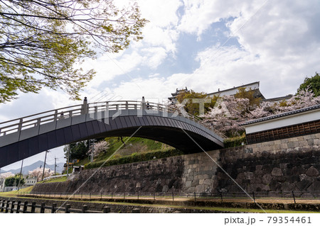 京都府福知山市 春の福知山城公園と昇龍橋 京都府福知山市 春の福知山城公園と昇龍橋 79354461