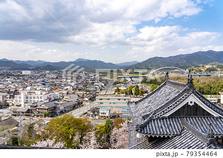 京都府福知山市　春の福知山城の小天守の屋根と明智藪 79354464