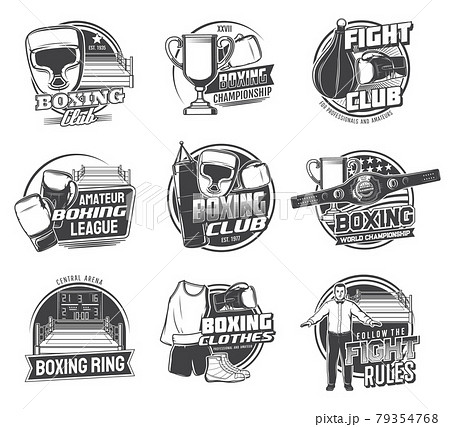 Boxing sport icons, punching bags, boxer gloves 79354768