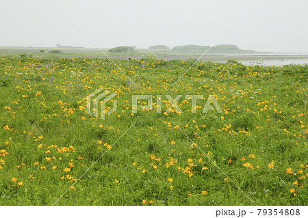 野付半島 野付半島 79354808