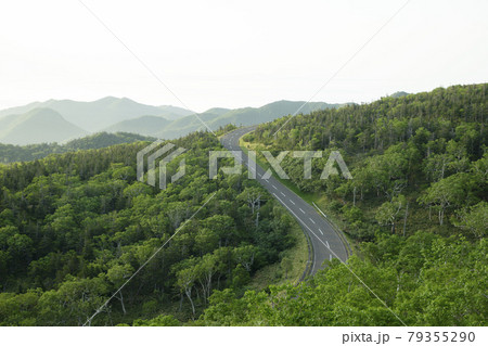 知床横断道路 79355290