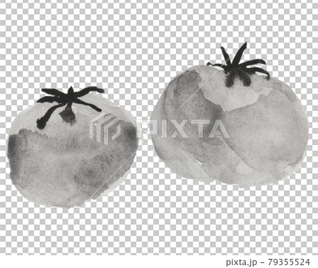 トマトの水彩手書きイラストのイラスト素材