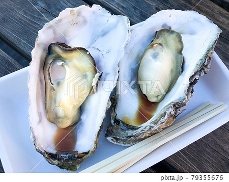 寺泊の牡蠣 79355676