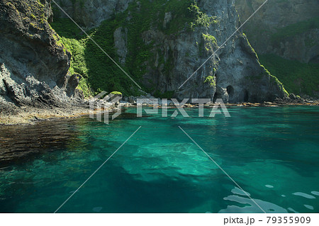 黄金岬 黄金岬 79355909