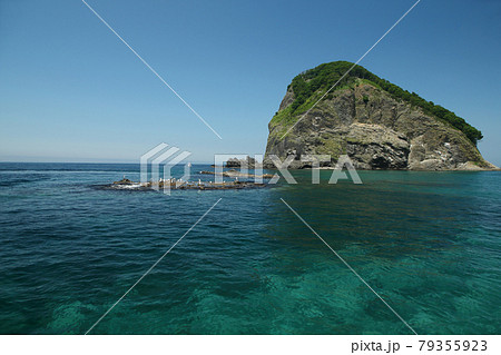 黄金岬 黄金岬 79355923