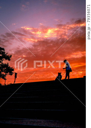 山手台北公園の夕焼けとシルエット、愛犬と、6月21日、宝塚市、日本 79356071