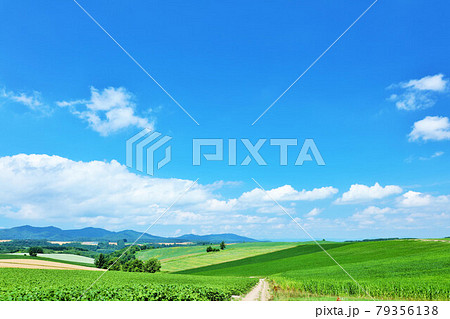 北海道　爽やかな夏の青空と美瑛の風景 79356138