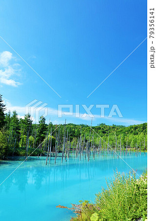 北海道 青空の青い池 北海道 青空の青い池 79356141