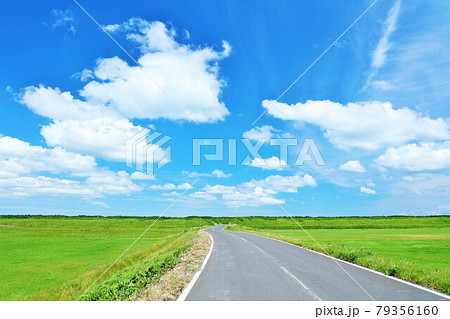 北海道　青空の道 79356160