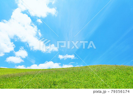 夏の青空と新緑の草原風景 79356174
