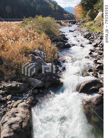 三重県白山町リバーパーク真見の雲出川と沈下橋 三重県白山町リバーパーク真見の雲出川と沈下橋 79356565