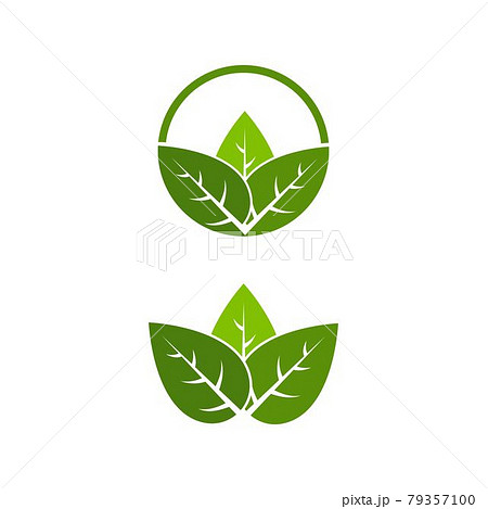 Vegan element Vector icon design illustration 79357100