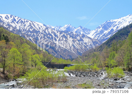5月の北アルプス後立山連峰　不帰ノ嶮 79357106