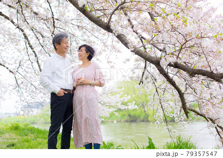 ソメイヨシノ桜を楽しむシニア夫婦 コピースペース右側 ソメイヨシノ桜を楽しむシニア夫婦 コピースペース右側 79357547