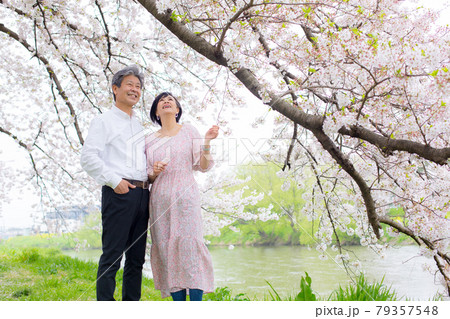 ソメイヨシノ桜を楽しむシニア夫婦 コピースペース右側 ソメイヨシノ桜を楽しむシニア夫婦 コピースペース右側 79357548