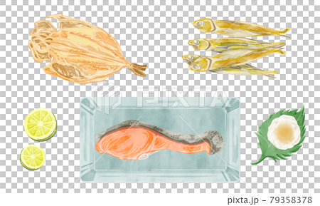 3種烤魚（三文魚、竹莢魚、目的）手寫水彩插圖 79358378