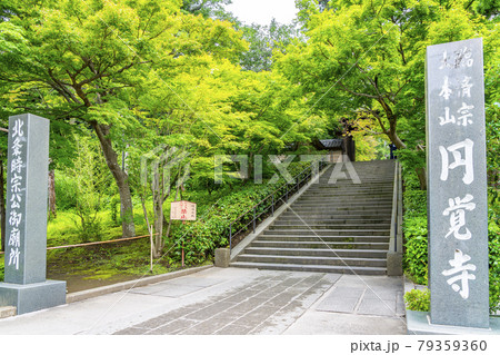【神奈川県】鎌倉 生い茂る新緑が美しい円覚寺 【神奈川県】鎌倉 生い茂る新緑が美しい円覚寺 79359360