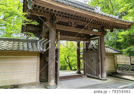 【神奈川県】鎌倉 生い茂る新緑が美しい円覚寺の総門 【神奈川県】鎌倉 生い茂る新緑が美しい円覚寺の総門 79359362