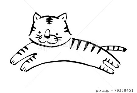 駆ける虎の手描きイラスト線画 79359451