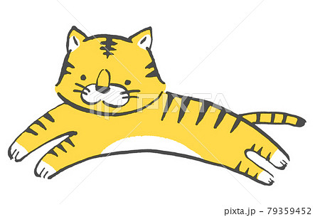 駆ける虎の手描きイラスト 駆ける虎の手描きイラスト 79359452