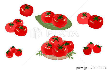 トマトのイラストセット　 79359594