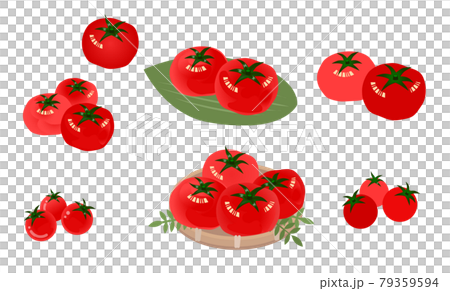 トマトのイラストセット　 79359594