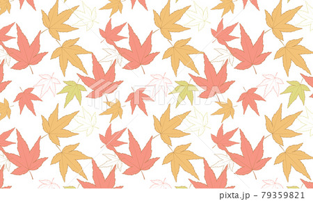 落ち着いたイメージのある秋の紅葉 落ち着いたイメージのある秋の紅葉 79359821