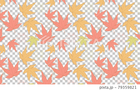 落ち着いたイメージのある秋の紅葉 落ち着いたイメージのある秋の紅葉 79359821