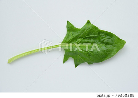 Fresh green spinach on white background. 79360389