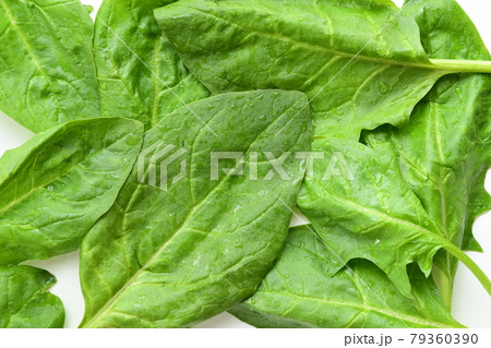 Fresh green spinach on white background. 79360390