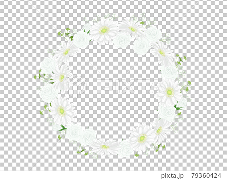白玫瑰和非洲菊 frame_circle 白玫瑰和非洲菊 frame_circle 79360424